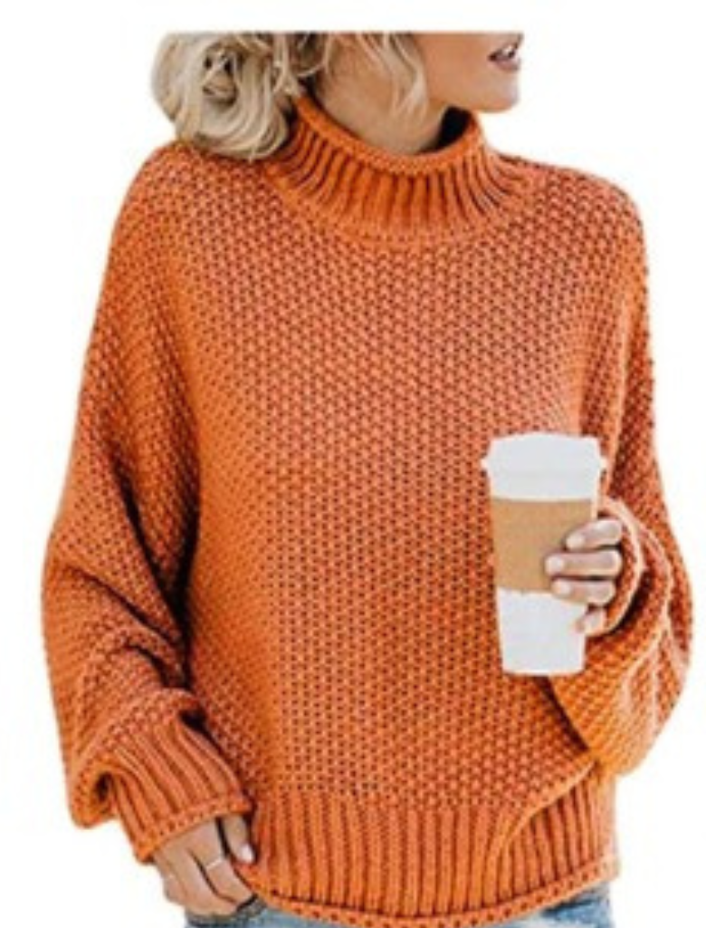 WW | Unifarbener Langärmeliger Pullover