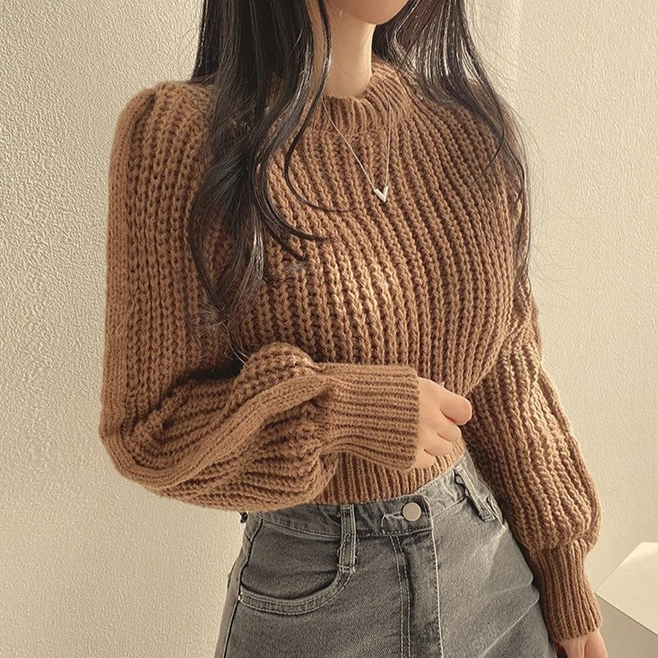 WW | Gekürzter Pullover