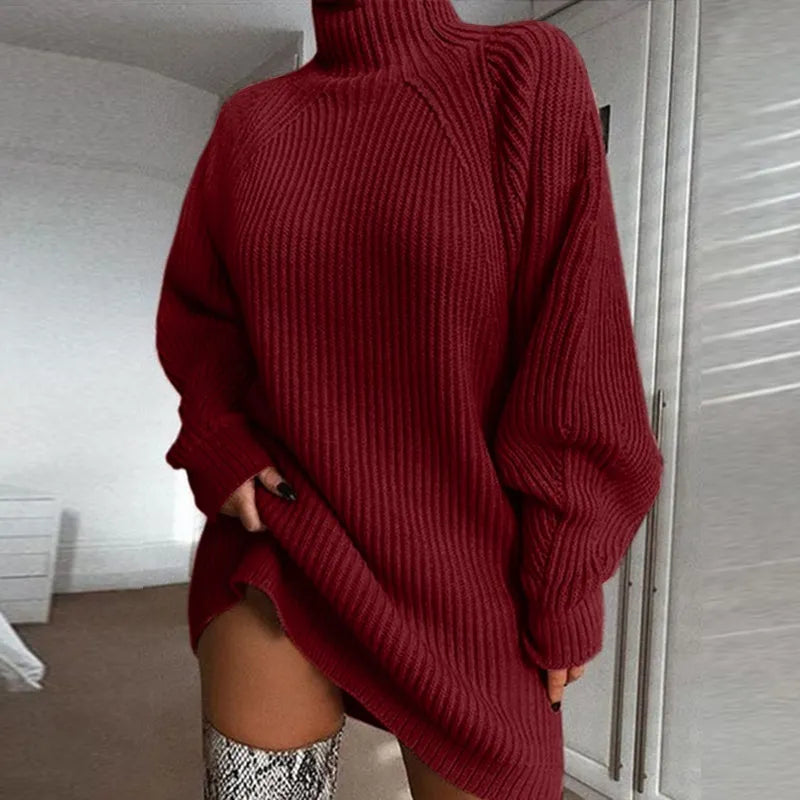 WW | Bequemes Kleid mit Rollkragen