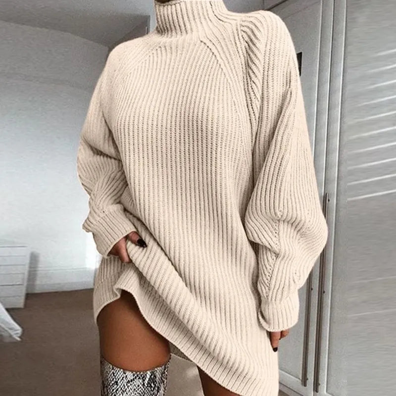 WW | Bequemes Kleid mit Rollkragen