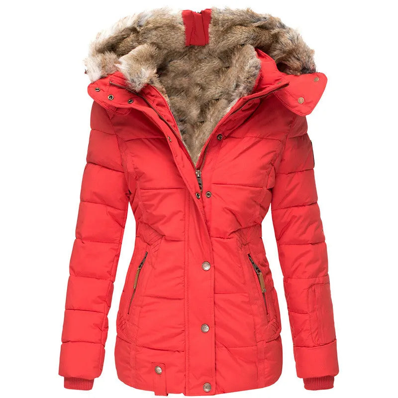 WW | Stilvolle Damenjacke