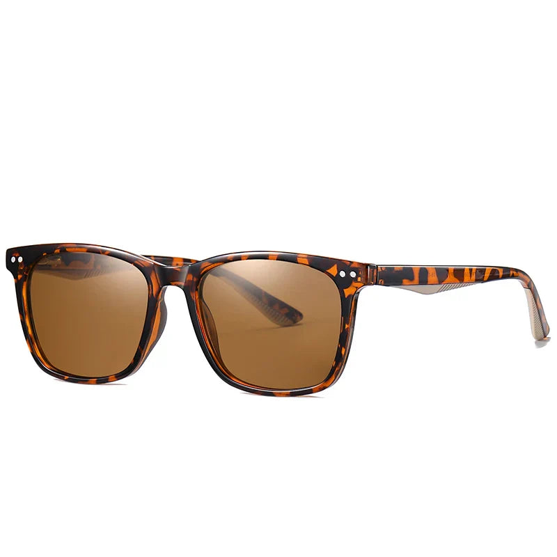 WW | Classic sunglasses with clear frame